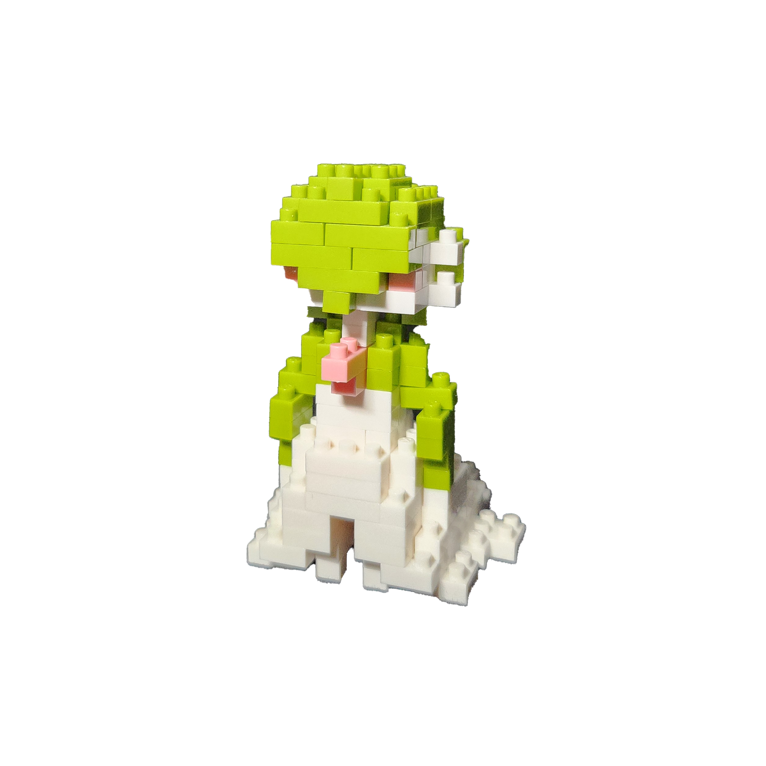 Image 16